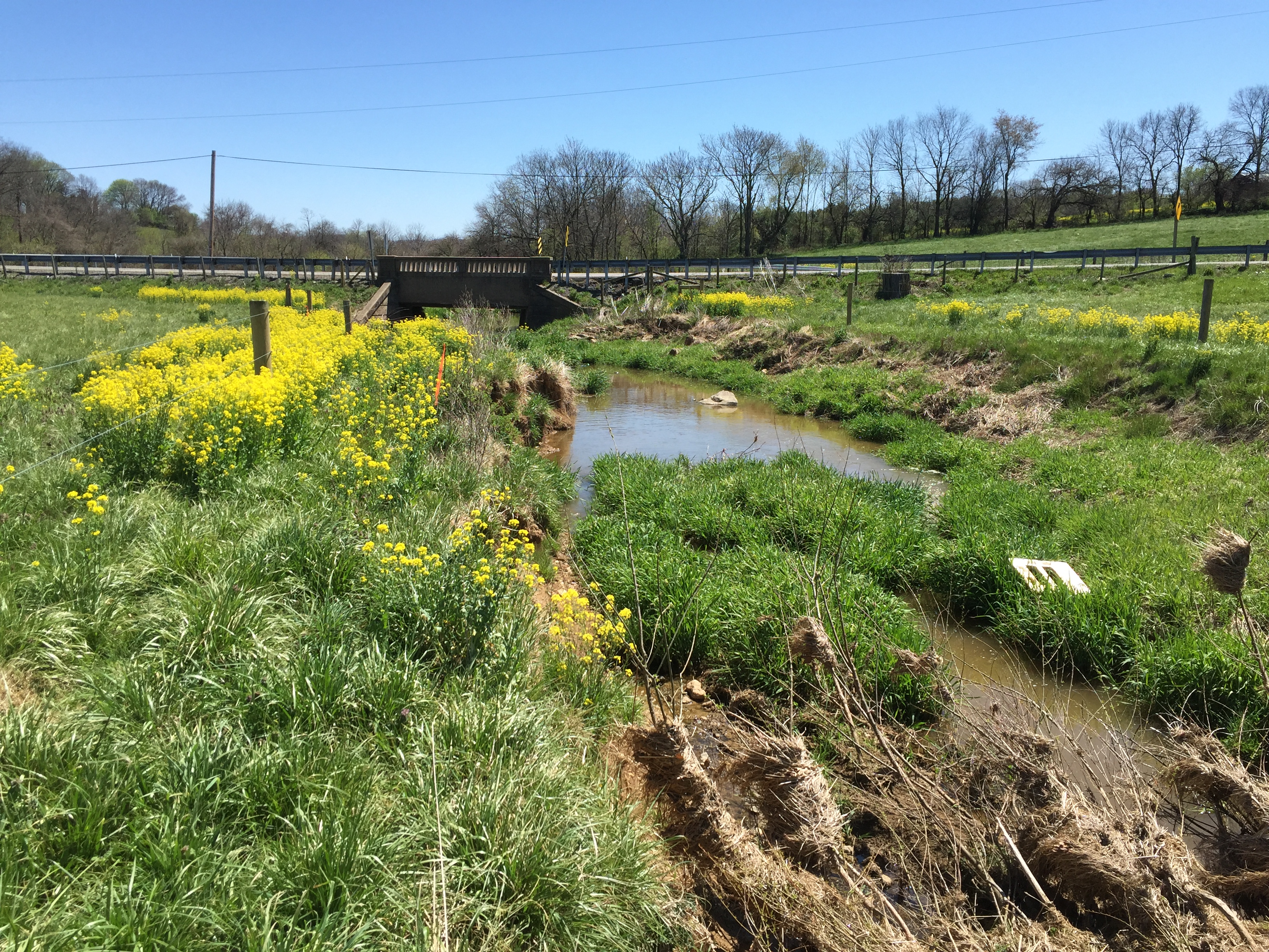 Field photo showing stream conditions at site PRFR-205-X-2016_midpoint downstream
